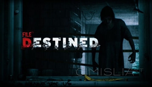 File Destined [build 10635957] (2023) PC | Лицензия