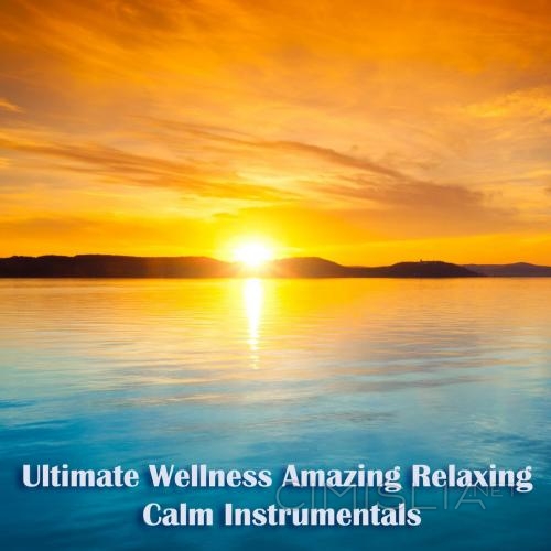 VA - Ultimate Wellness Amazing Relaxing Calm Instrumentals (2023) MP3