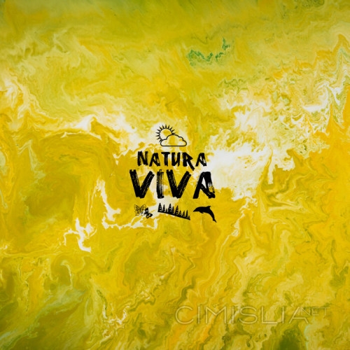 The Human Awakening - I'm Lost (2023) MP3