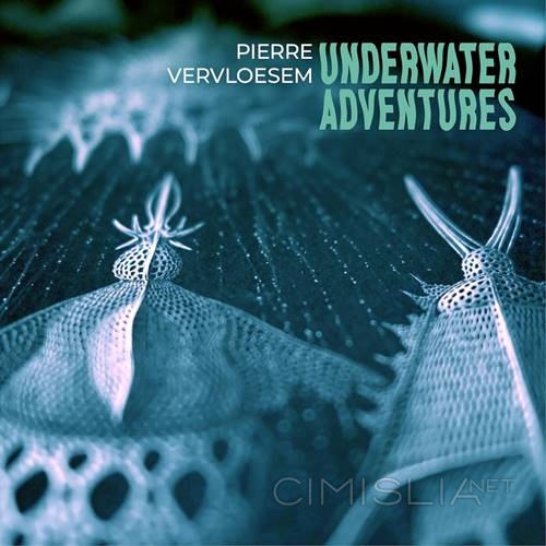 Pierre Vervloesem - Underwater Adventures (2023) FLAC