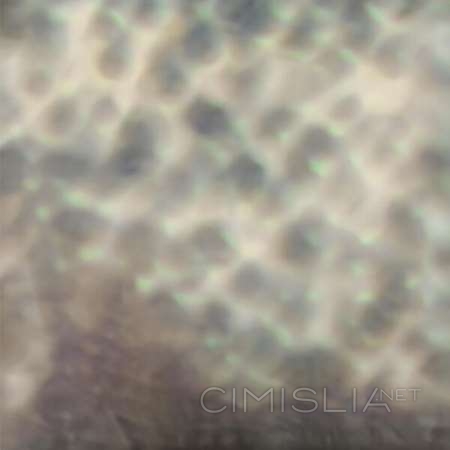 Carlos Cipa - Ourselves, as we are [24-bit Hi-Res] (2023) FLAC