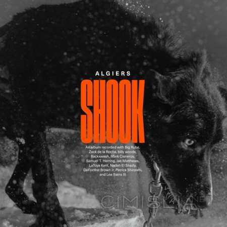 Algiers - Shook [24-bit Hi-Res] (2023) FLAC