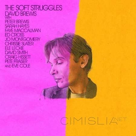 David Brewis - The Soft Struggles [24-bit Hi-Res] (2023) FLAC