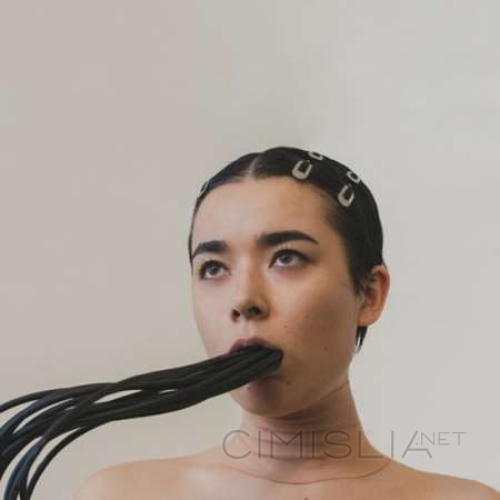 Miss Grit - Follow the Cyborg [24-bit Hi-Res] (2023) FLAC