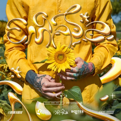 Bootes Gray - Empatía (2023) MP3