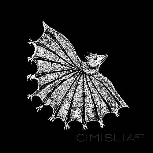 Xiu Xiu - Ignore Grief (2023) FLAC