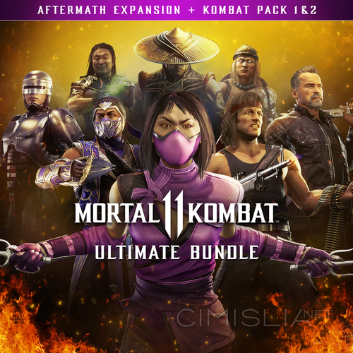 Mortal Kombat 11: Ultimate Edition [v 0.384-34-CL237394 build 10154284 + DLCs] (2019) PC | Portable