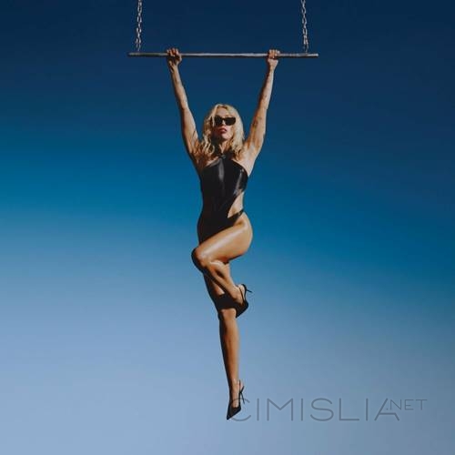 Miley Cyrus - Endless Summer Vacation (2023) FLAC