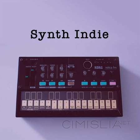 VA - Synth Indie (2023) MP3