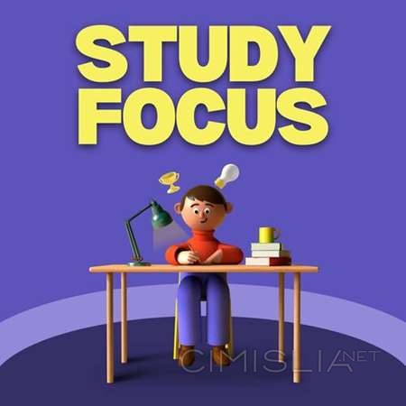 VA - Study Focus (2023) MP3