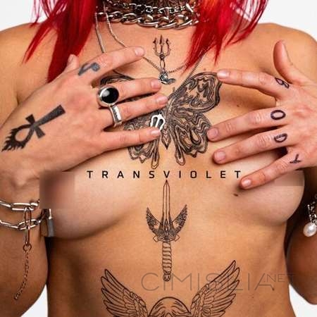 Transviolet - Body (2023) MP3