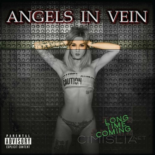 Angels In Vein - Long Time Coming (2023) MP3