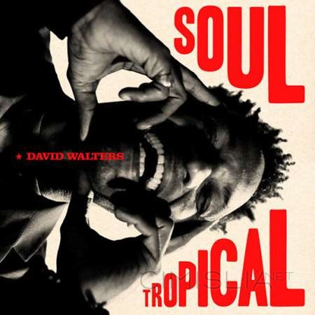 David Walters - Soul Tropical (2023) FLAC