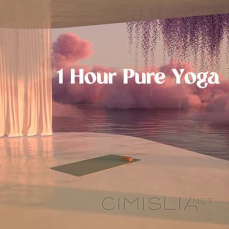 VA - 1 Hour Pure Yoga (2023) MP3