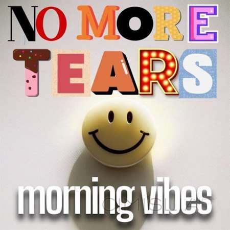 VA - No More Tears Morning Vibes (2023) MP3