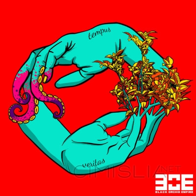 Black Orchid Empire - Tempus Veritas [24-bit Hi-Res] (2023) FLAC