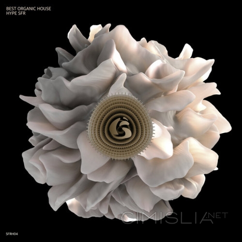 VA - Best Organic House Hype SFR (2023) MP3