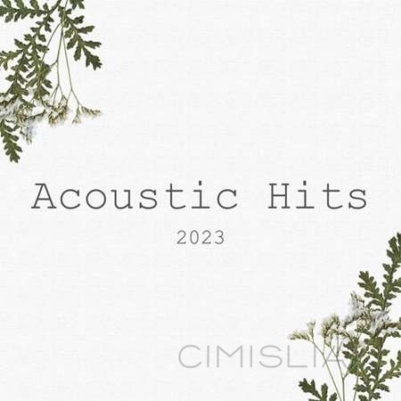 VA - Acoustic Hits (2023) MP3