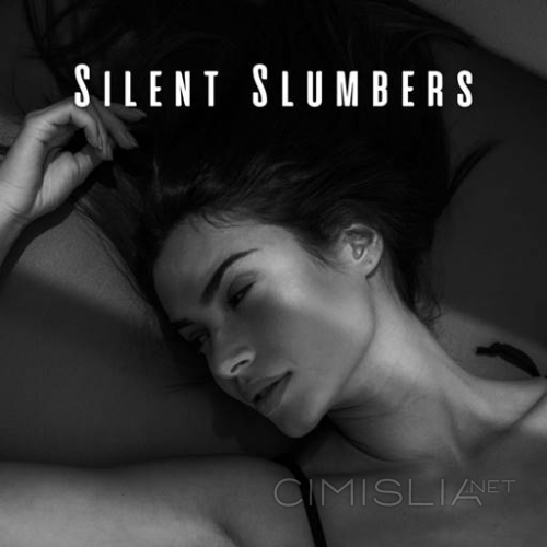 Various Frequencies - Silent Slumbers: Ambient Music for Restful Sleep (2023) FLAC