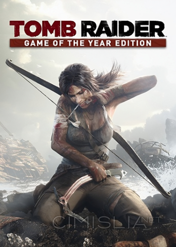 Tomb Raider GOTY [v 1.01.838.0 + DLCs] (2013) PC | RePack от Wanterlude