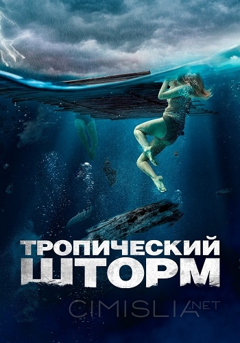 Тропический шторм / The Requin (2022)