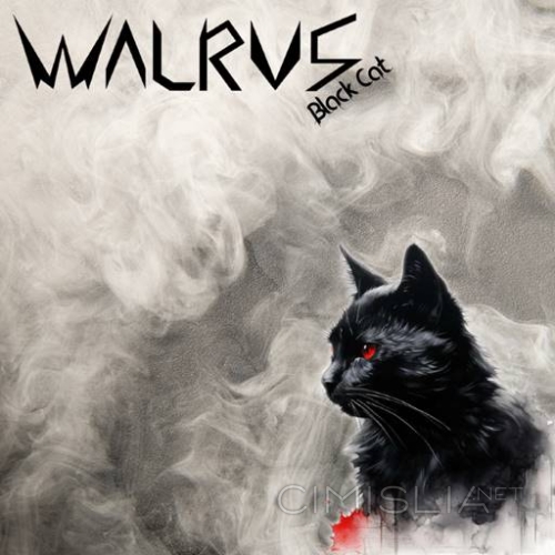 Walrus - Black Cat [24Bit, Hi-Res, EP] (2023) FLAC