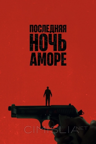 Последняя ночь Аморе / L'ultima notte di Amore (2023)
